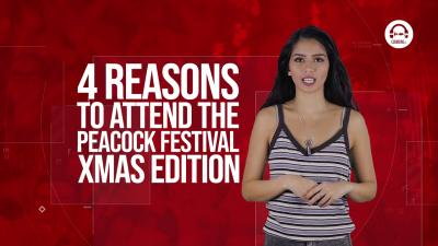 Clubbing Trends N°27 : 4 reasons to attend the Peacock Festival XMAS edition